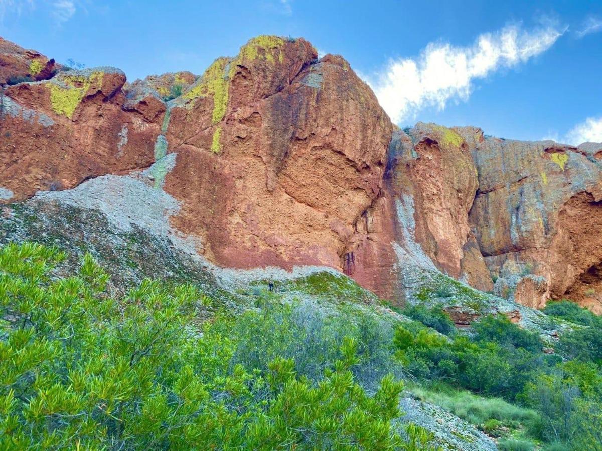 Red Mountain Ridge Karoo Oasis And Guest Farm Apartment Buffelskloof Екстериор снимка